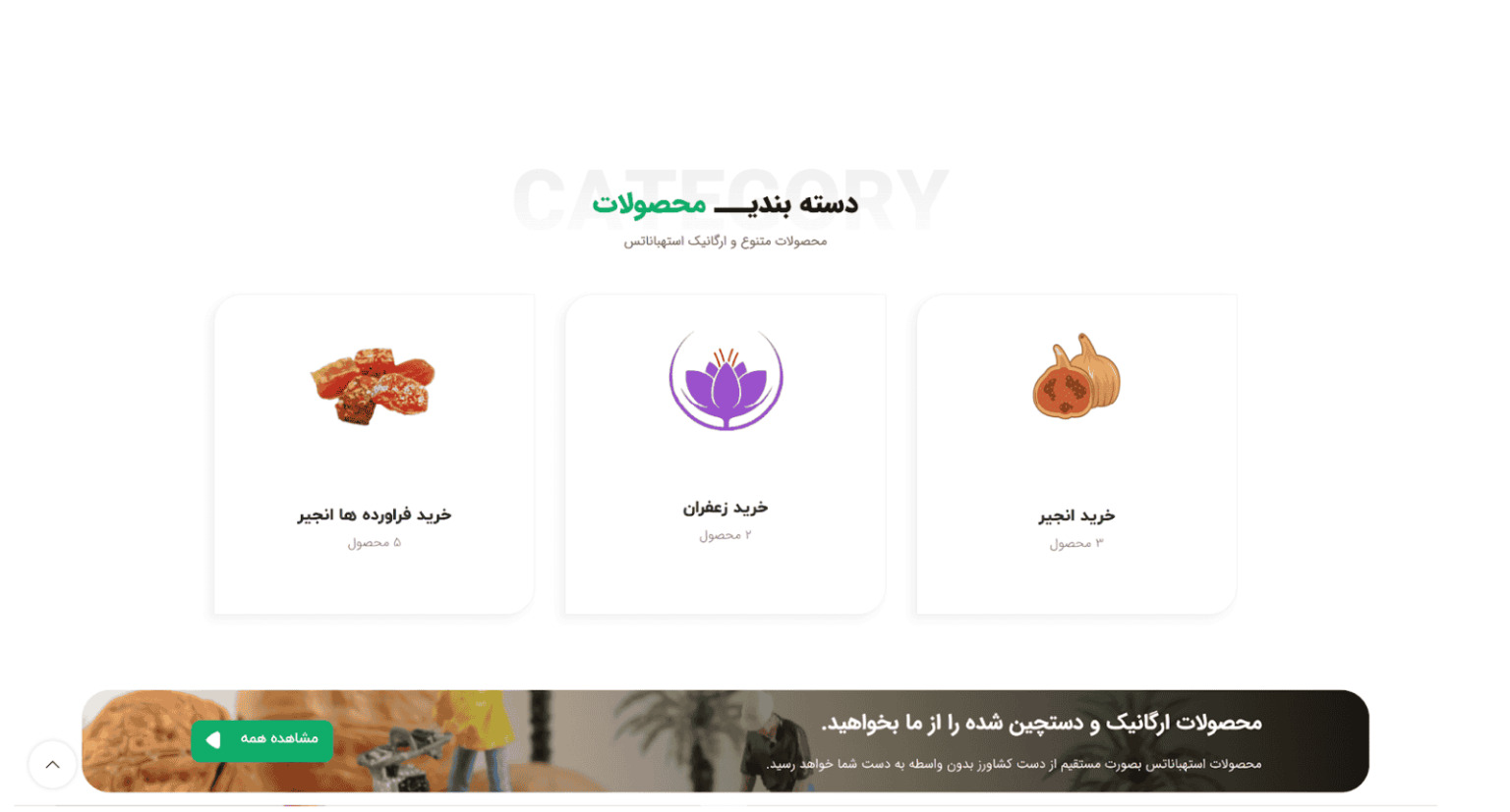 طراحی سایت آجیل و خشکبار با ساختار سئو محور برای جذب مشتری هدفمند