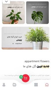 طراحی سایت گل فروشی آنلاین