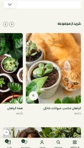مزایای طراحی سایت فروشگاهی در شیراز چیست؟