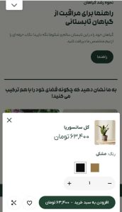 امکانات ضروری یک سایت فروشگاهی حرفه ای چیست؟