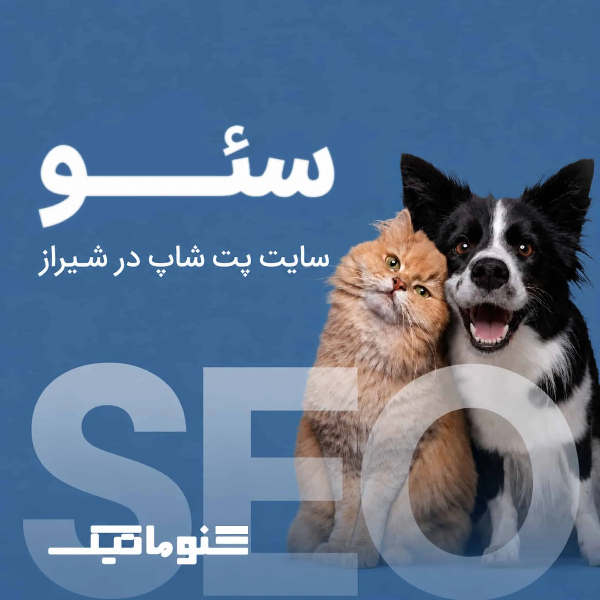 سئو سایت پت‌شاپ در شیراز؛ جذب مشتریان عاشق حیوانات خانگی
